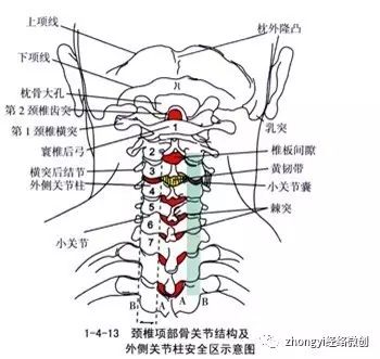 腰椎病 腰间盘突出解剖图 骨诊病源歌诀 好网角文章收藏