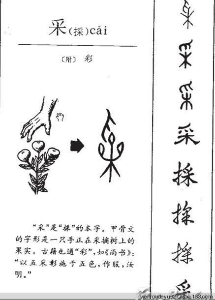 汉字演变过程,看看绝对有意思【组图】