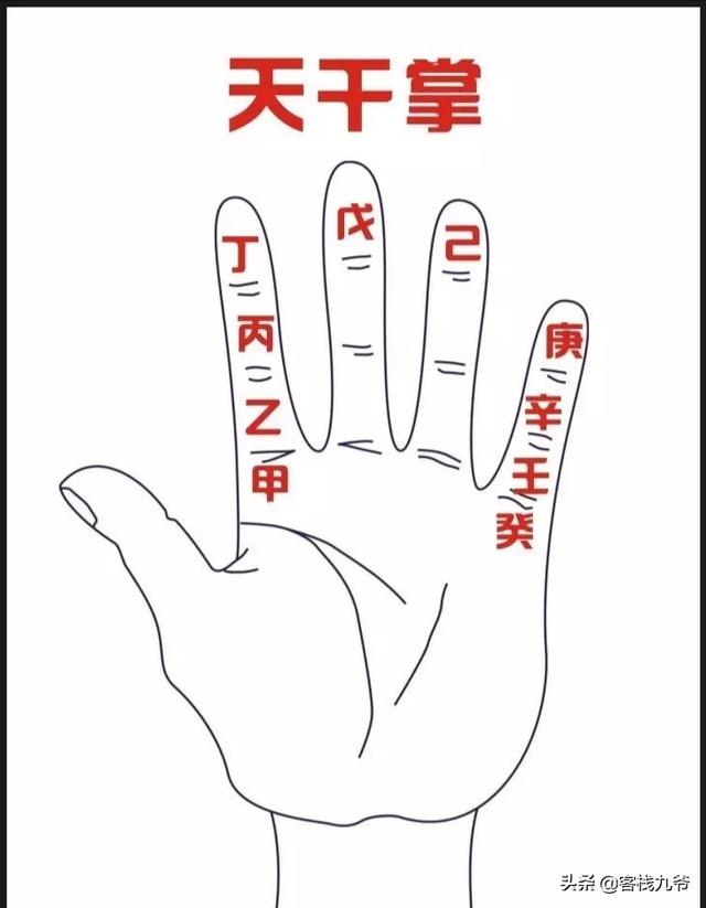 天干掌:首先将十天干固定在手指的十个指纹上,将左手食指根节算作甲位