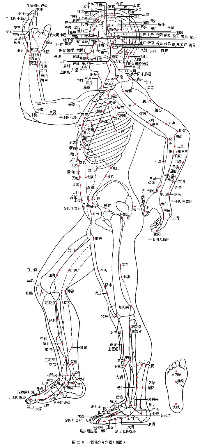 十四条经络阻塞后的表现