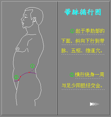 带脉:经络循行图,穴位图,用药及主治疾病 十二经络循行图