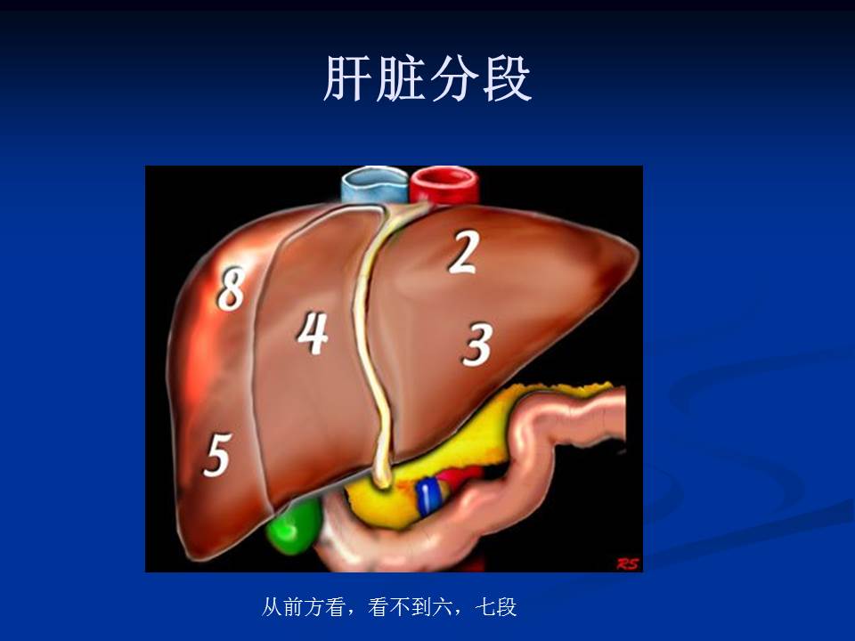 ppt正常肝臟ct解剖–影像ppt