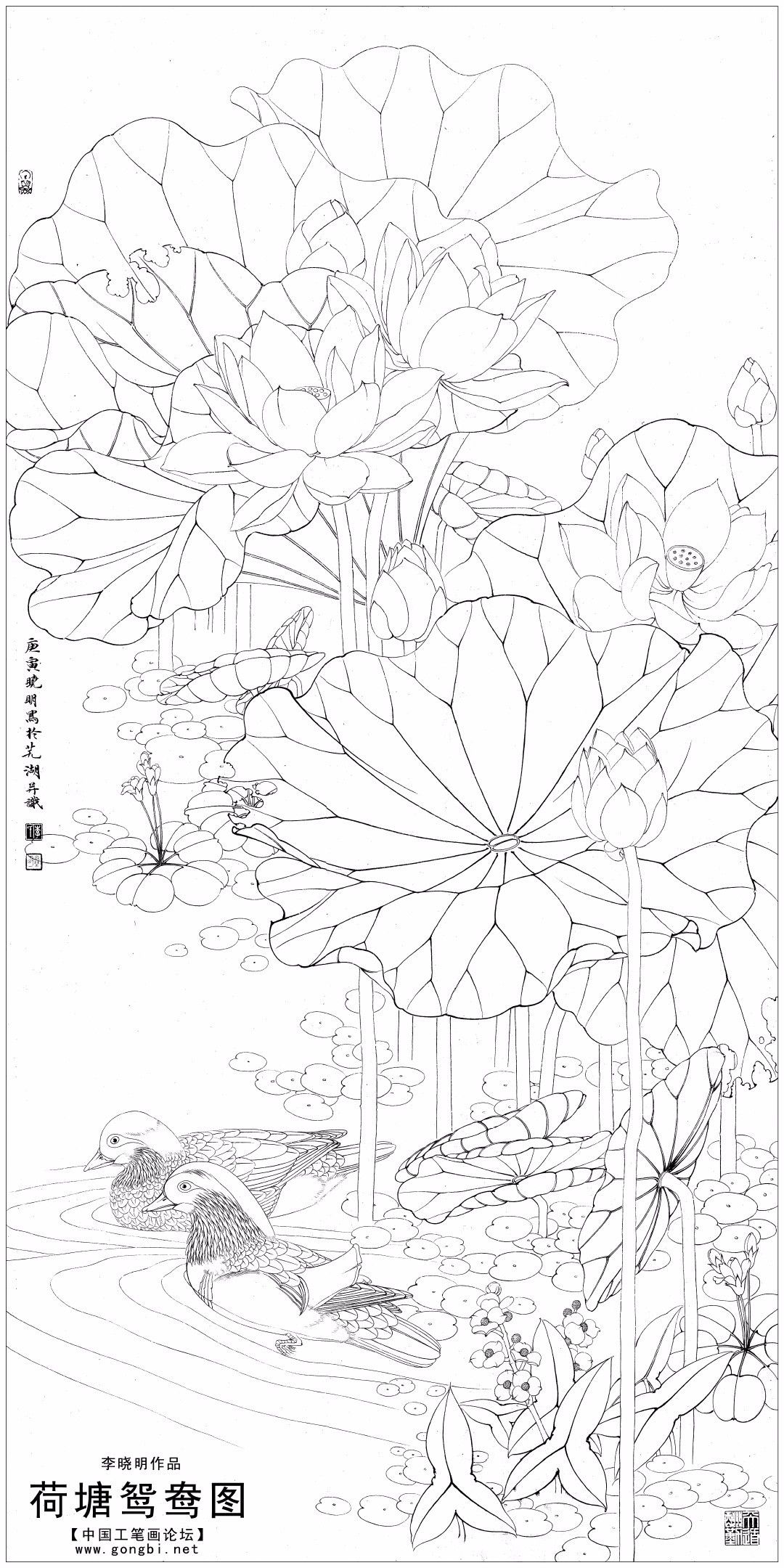 欣赏李晓明荷塘鸳鸯图设色步骤含详细文字解析