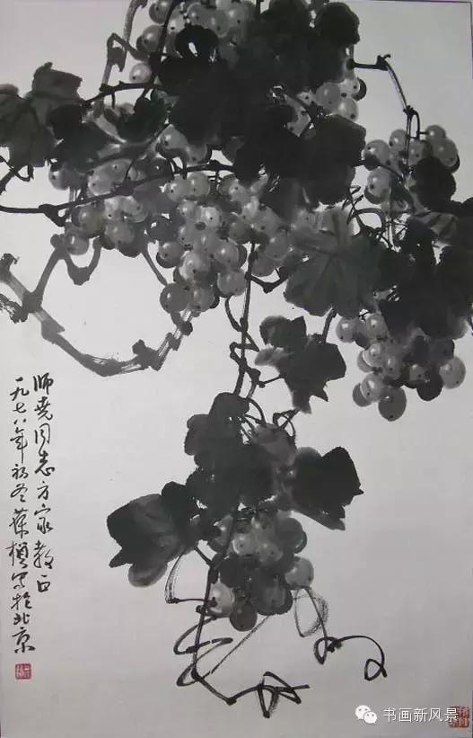 书画联盟丨苏葆桢的墨彩葡萄
