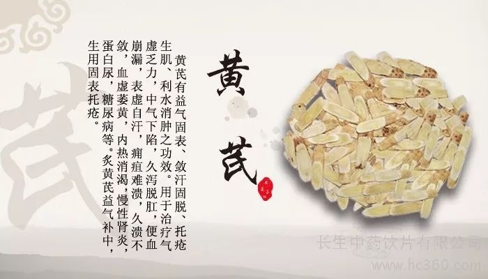 每日一学草药85黄芪