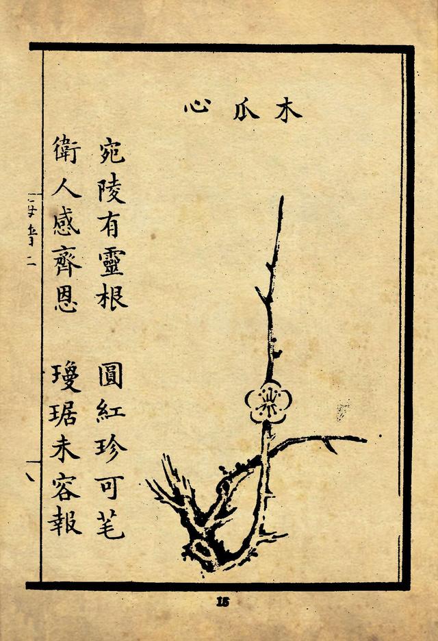 《梅花喜神谱》50图(宋)宋伯仁撰