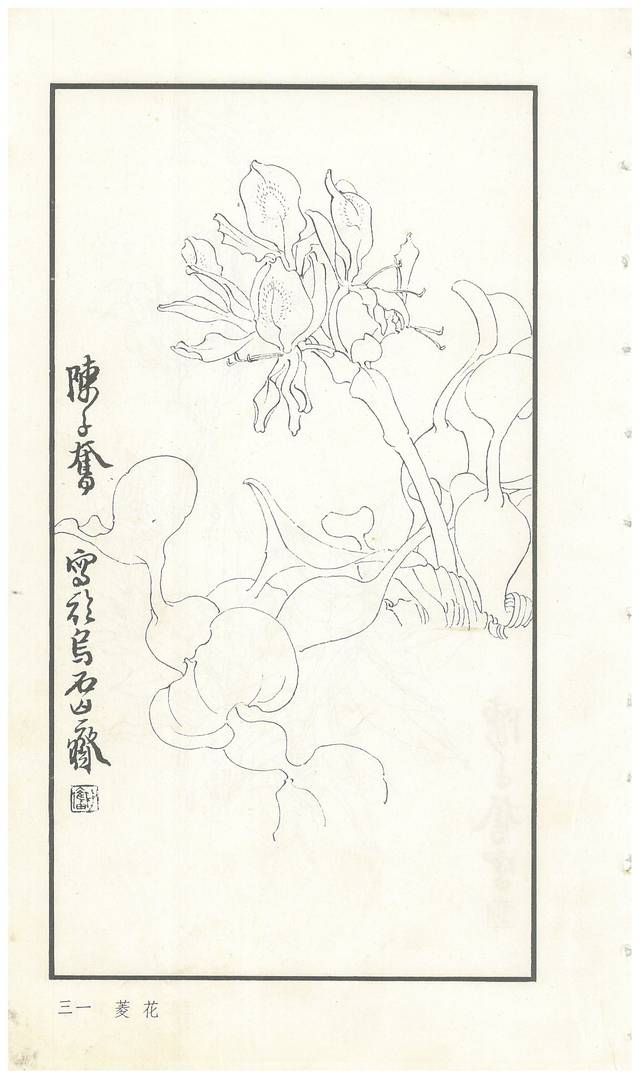 陈子奋白描花卉册图赏多图