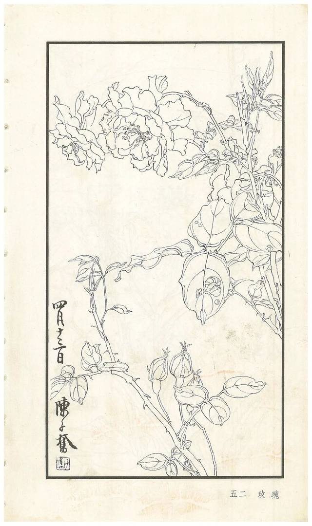 陈子奋白描花卉册图赏多图