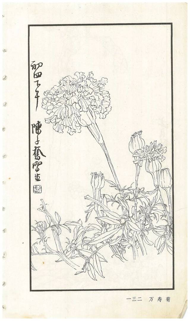 陳子奮白描花卉冊圖賞多圖