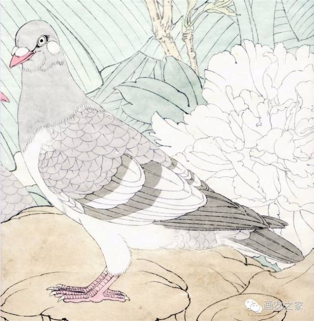 100幅国画鸽子太美了内附教程
