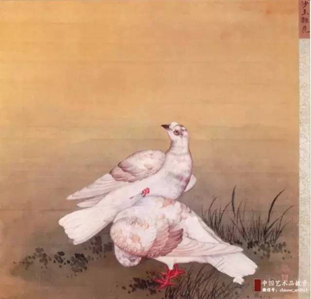 100幅国画鸽子太美了内附教程