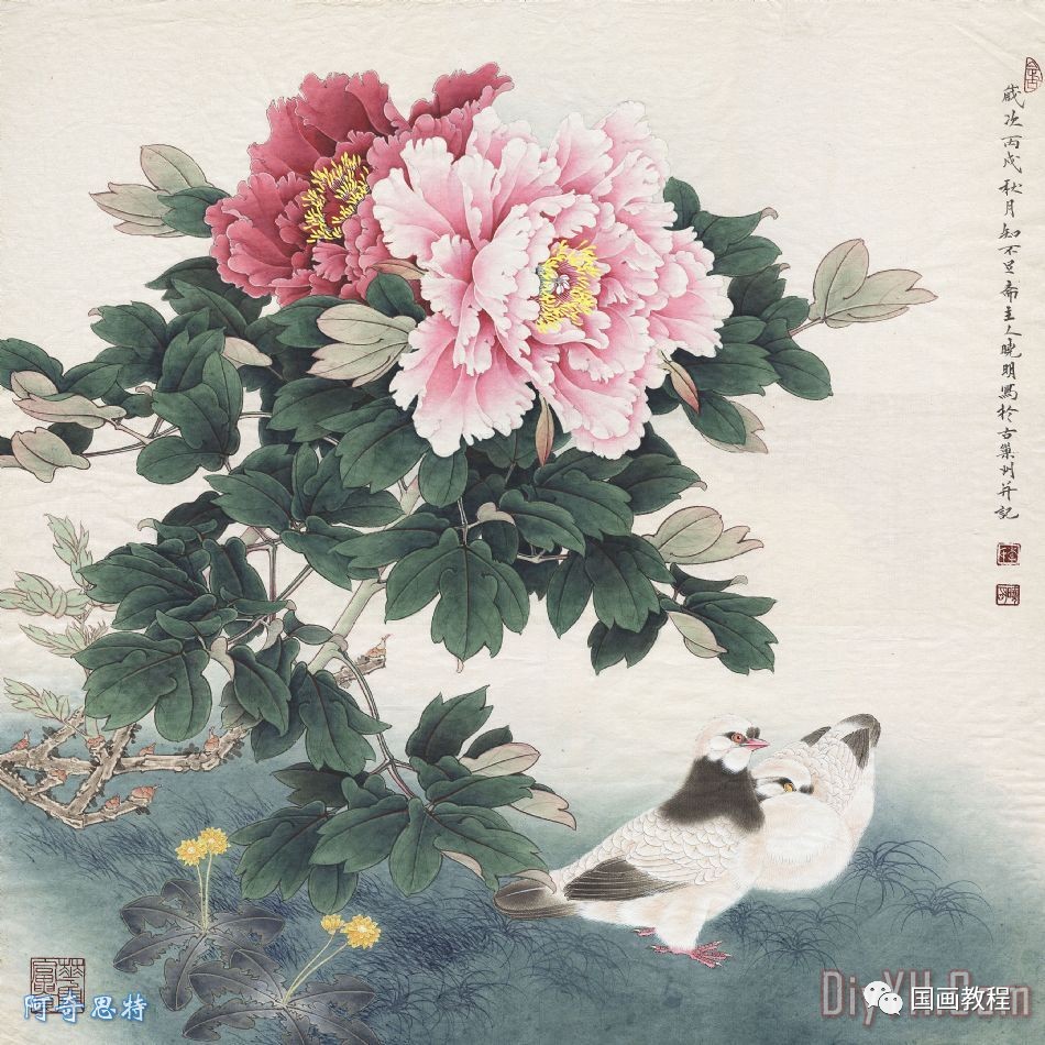 100幅国画鸽子太美了内附教程