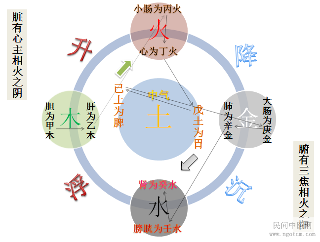 图解四圣心源天人解