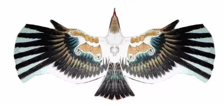 6米盘鹰2002-朱猷成盘鹰1002-朱猷成盘鹰2003-朱猷成鹞子1003-朱猷成