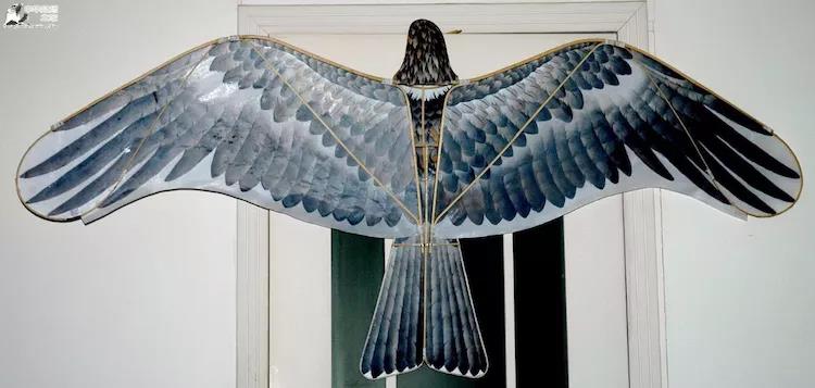 盘鹰款式50例百图正反面