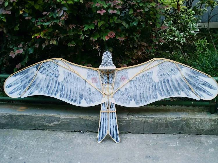 盘鹰款式50例百图正反面