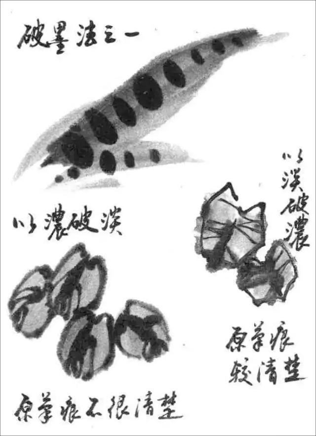 破墨:通过墨与墨的冲撞,渗化,使原来的墨迹产生新的变化.