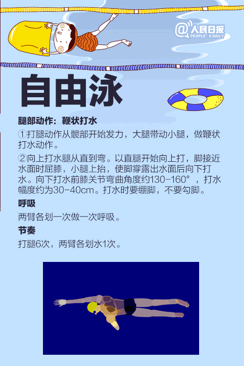 蛙泳,自由泳,仰泳,蝶泳的标准动作都是什么?