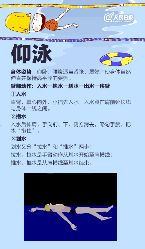 蛙泳,自由泳,仰泳,蝶泳的标准动作都是什么?