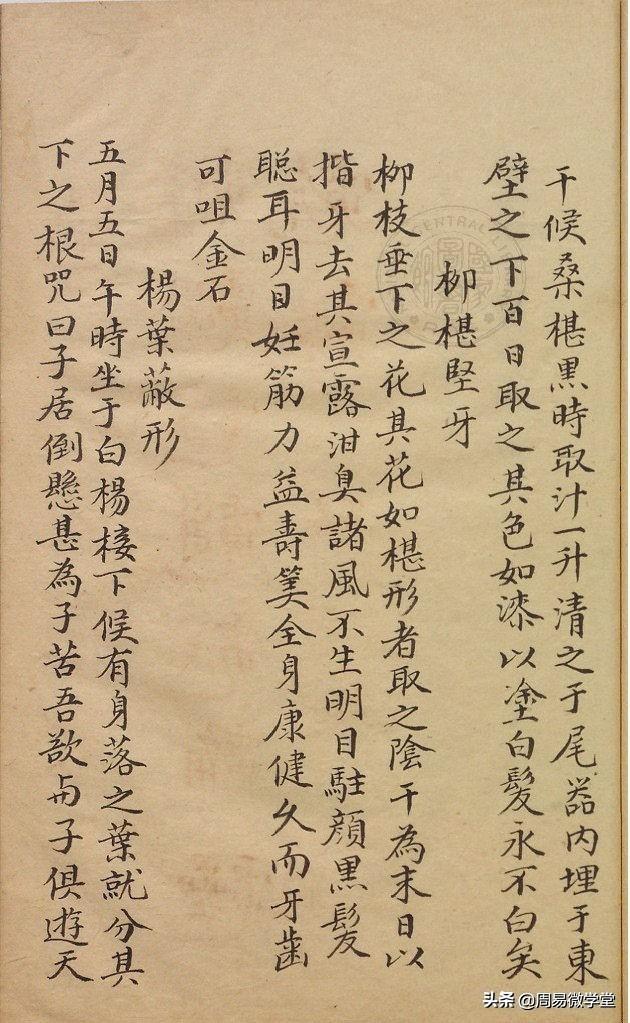 祝由十三科四种民间常用的九龙化骨水秘法玄女避难保身方法