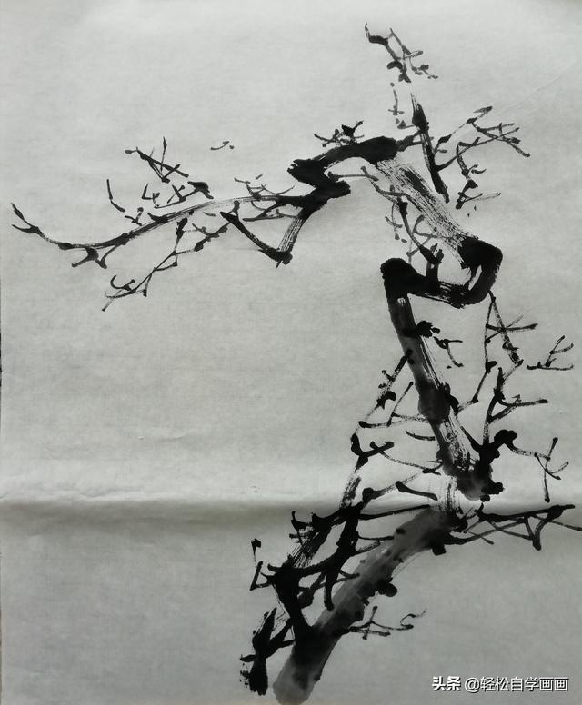 梅花老枝干的画法图片