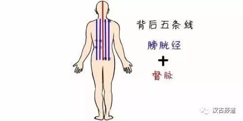 腹為陰背為陽按摩這4個地方讓你陰陽平衡氣血通暢