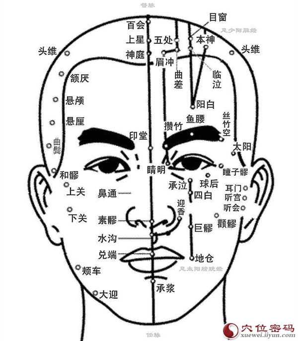 面部穴位圖解大全按摩臉部穴位圖彩圖