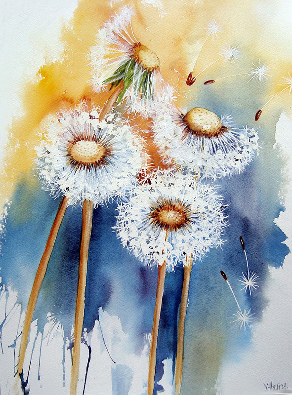 水彩画画家yvonne harry.鲜花