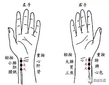 第137篇桂枝芍药知母汤