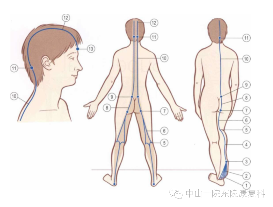 八把半锁的具体位置图片