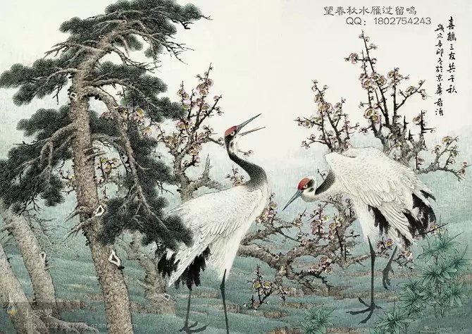 国画花鸟百图【3】仙鹤【1-16】照片名称:01 仙鹤所属相册:国画花鸟