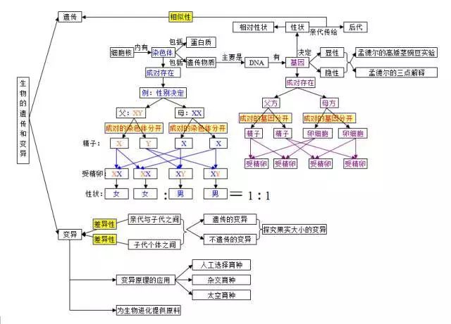 08生物的多樣性09生物技術10健康的生活