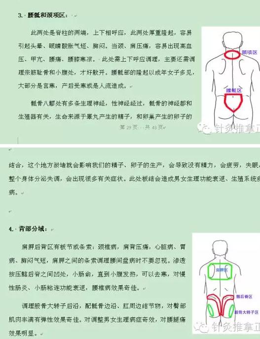 被转藏 : 5转藏到我的文章库◆ 根骶健康疗法手法力度要做到