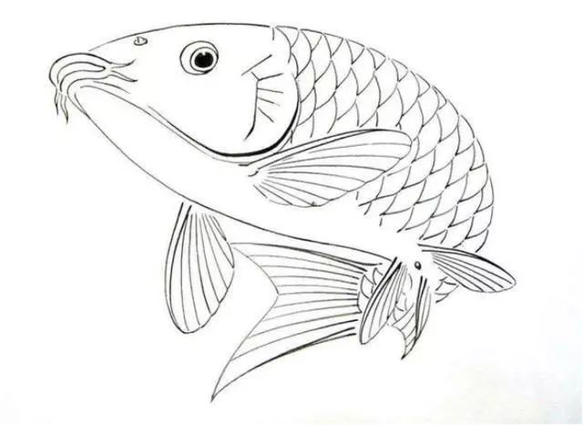 鱼的简笔画 复杂图片
