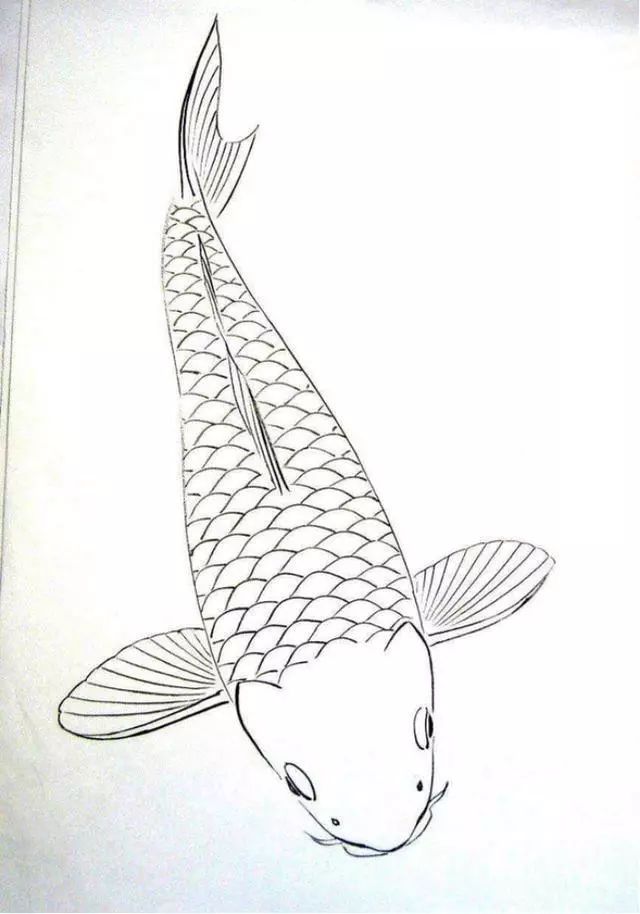 鱼怎么画画出来图片