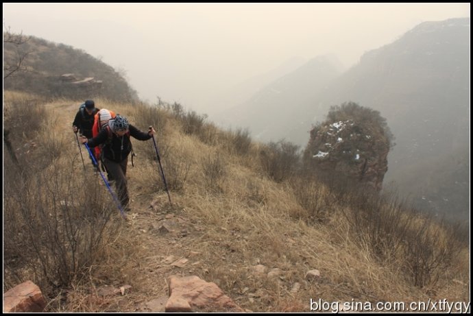 登上了海拔1089米的主峰鼎梅山(奶奶頂),並見到了滴血樹,拍了十幾通