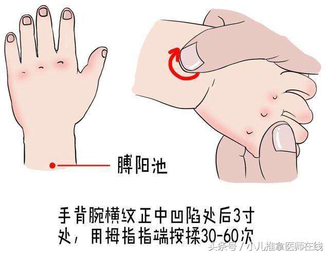 小儿推拿基础3