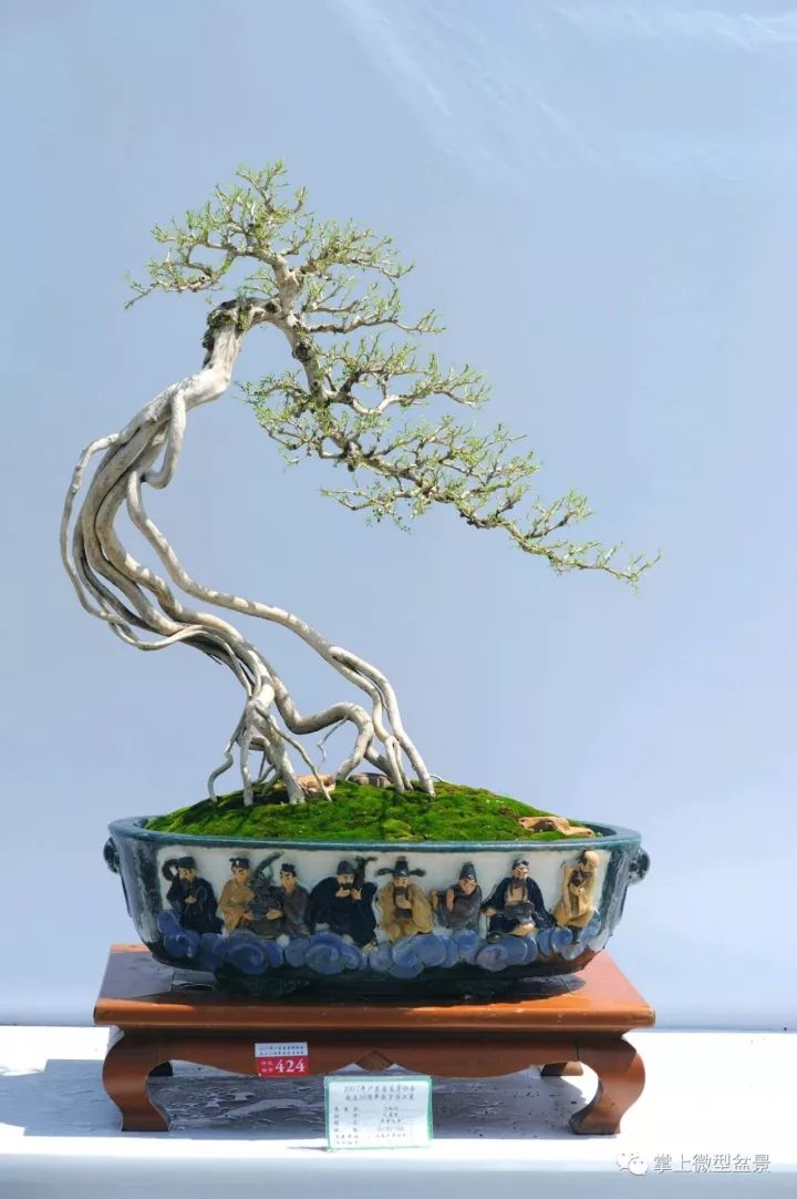 自然类树桩盆景造型10大式样