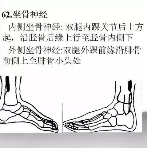 68張圖片詳解足底反射區的定位方法