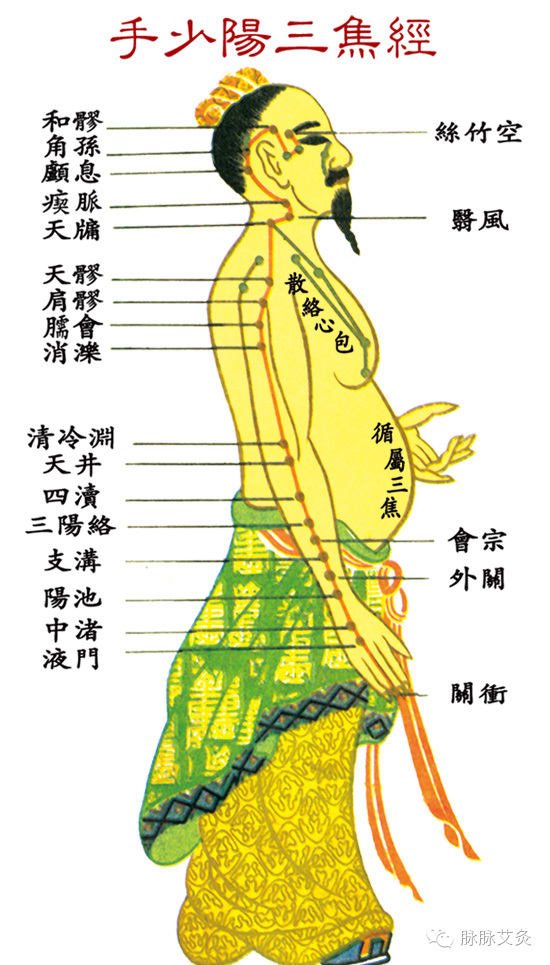 十二經絡速記法開穴時間表