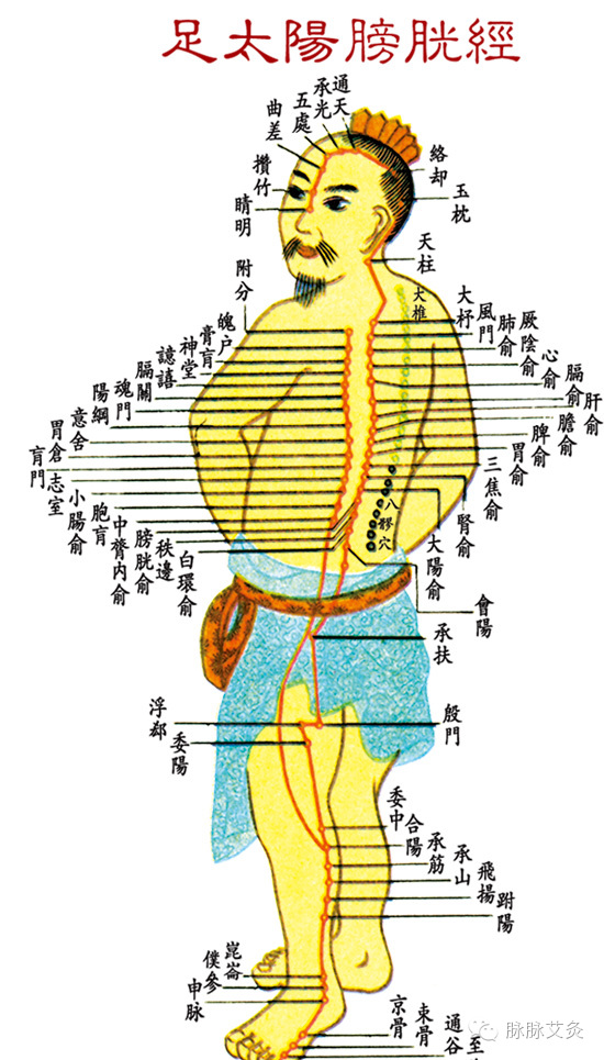 十二經絡速記法開穴時間表