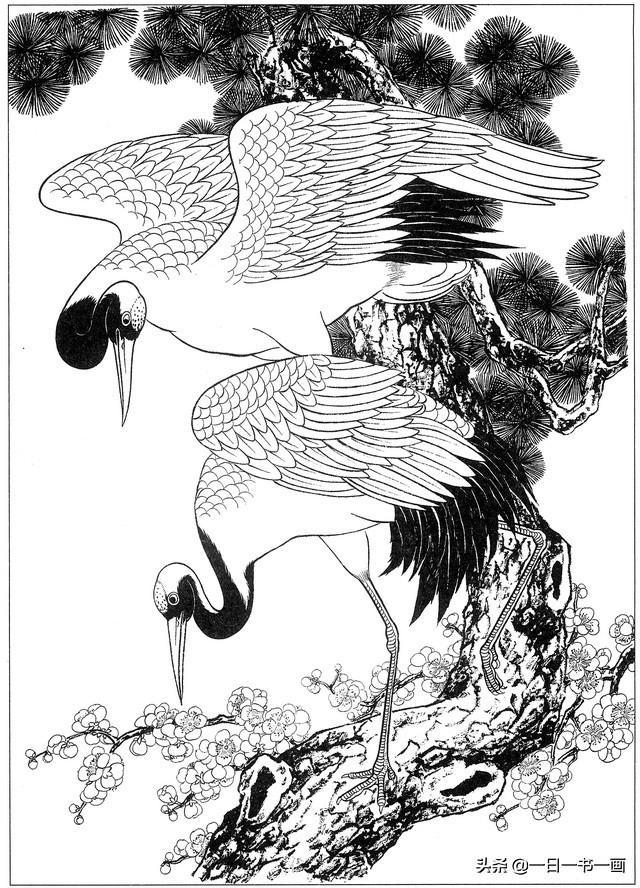 工笔画白描画稿:仙鹤