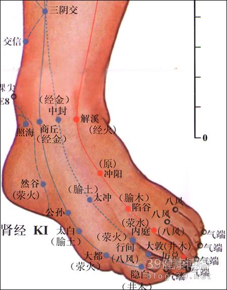 专门调节阴虚火旺的神奇要穴历兑穴人体特殊穴位按摩疗法附其它穴位的