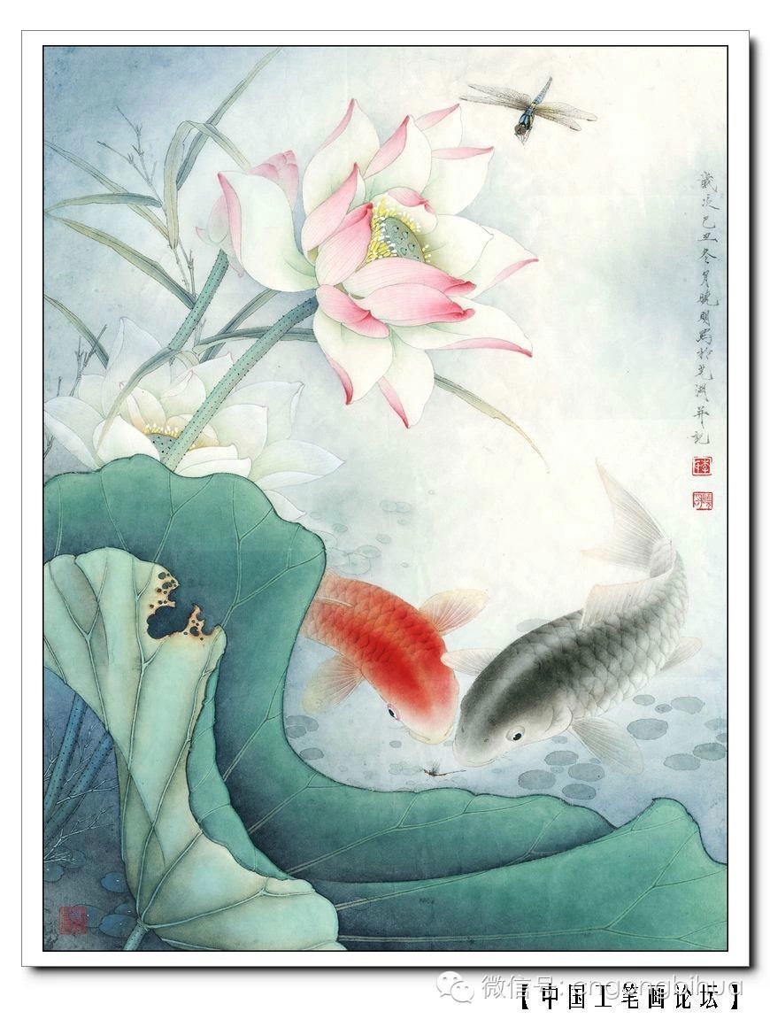 李晓明鲤鱼荷花设色步骤与技法画友必看