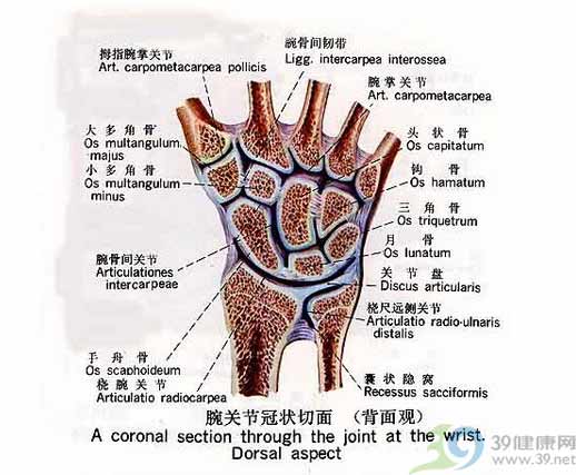 综述腕管综合症