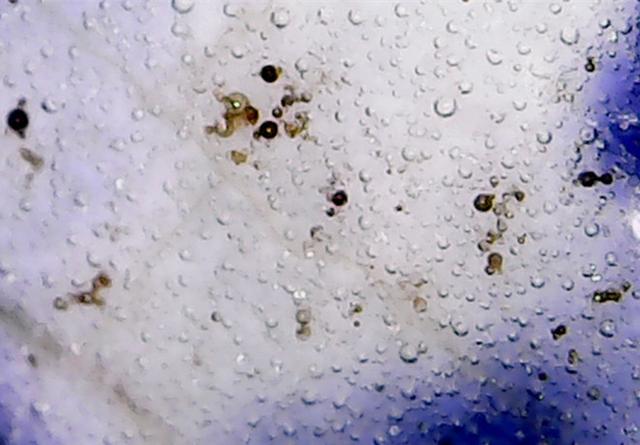 汝瓷的老化气泡微观图图片