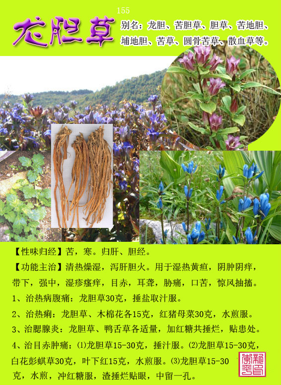 图荐300种常用中草药药性归经功能主治