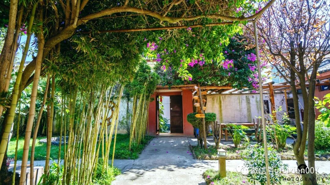 一眼就爱上的农家小院