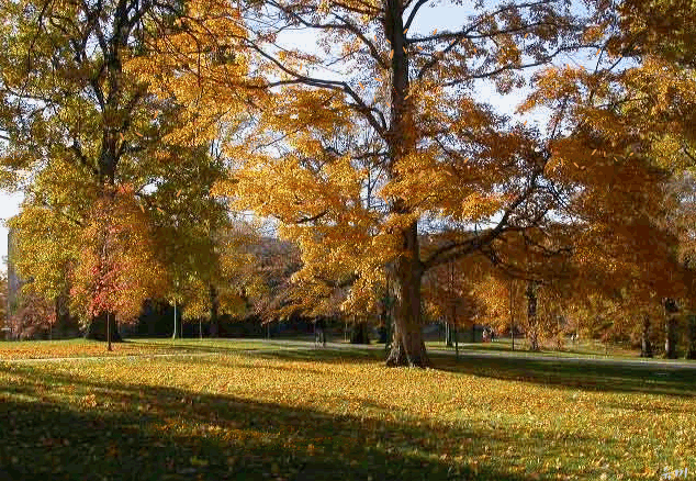 634_438gif 动态图 动图