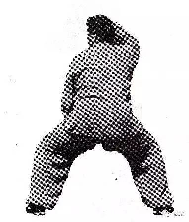 传统形意拳功法之鸡形四把